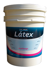 Látex Antihongo